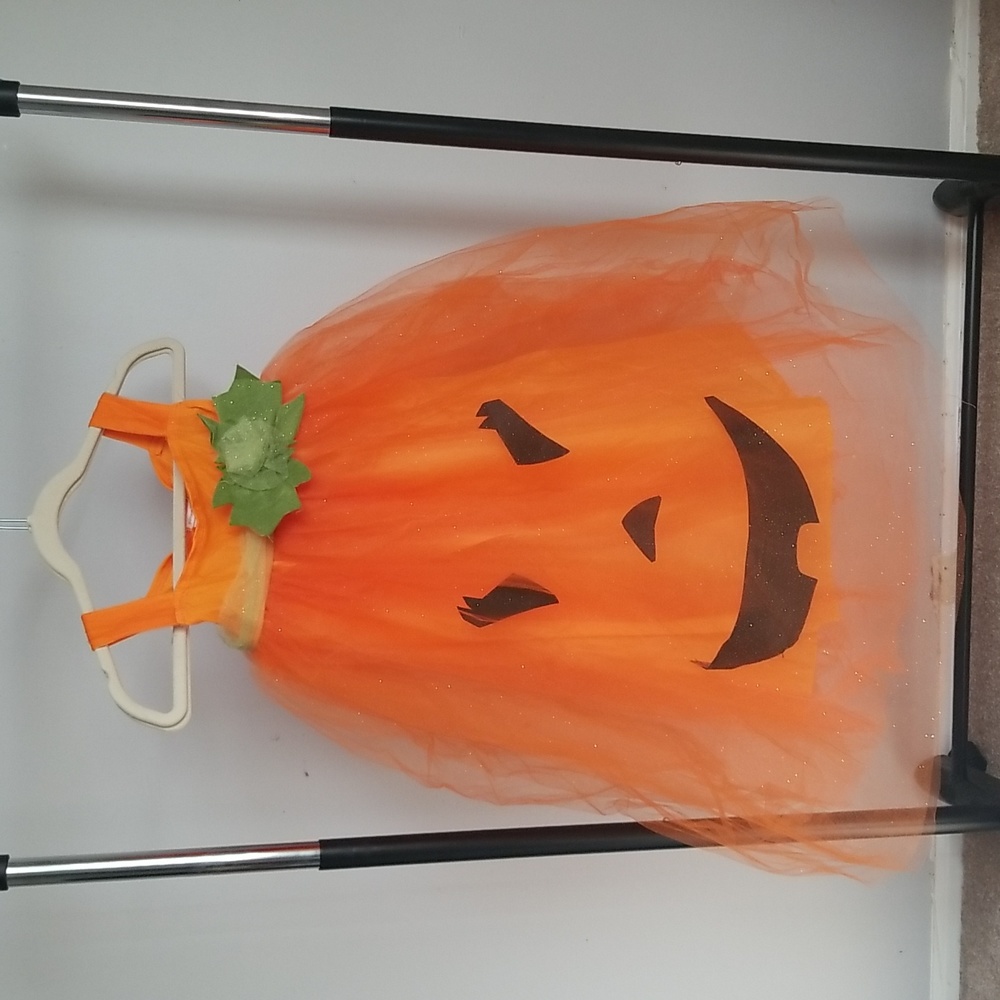 Pottery Barn Kids Tulle Pumpkin Costume Girls size 7/8